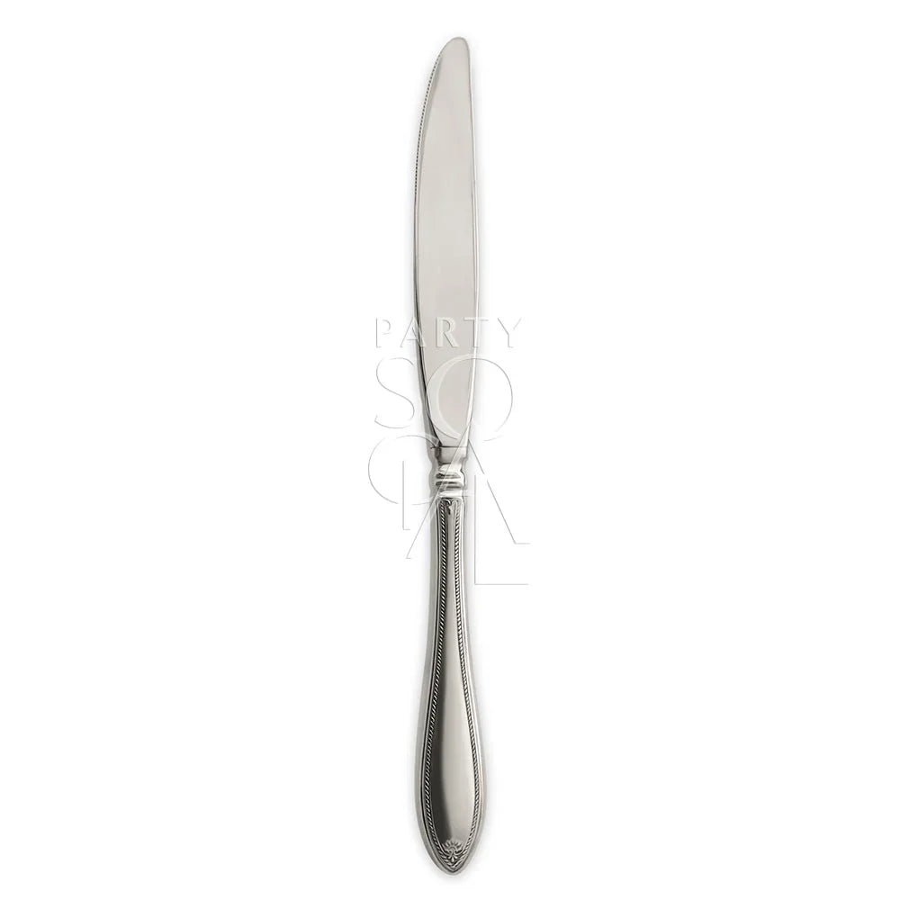 CUTLERY SHERATON: A sleek, silver knife from the Oneida Sheraton collection, ideal for elegant table settings at special events.