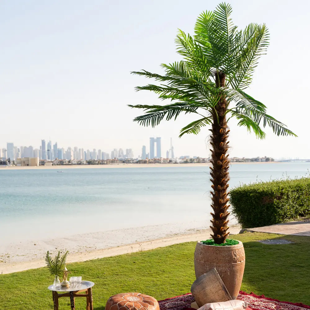 Large artificial palm tree in a pot, 4 meters tall, ideal for event decor, available from Party Social.