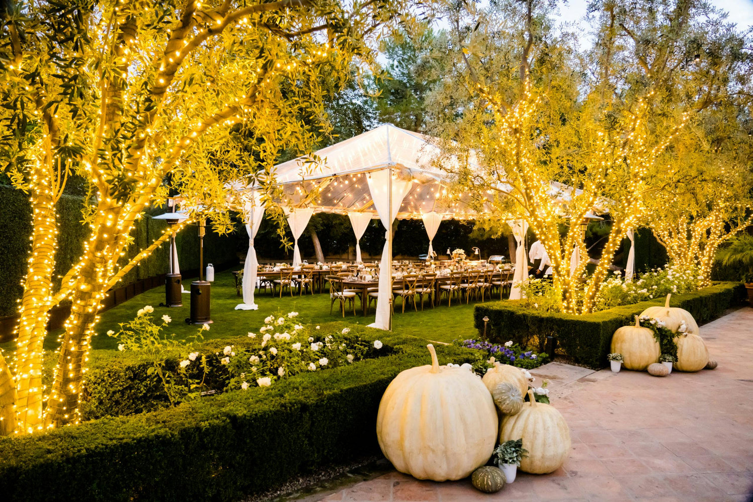 Thanksgiving Get-Together Party