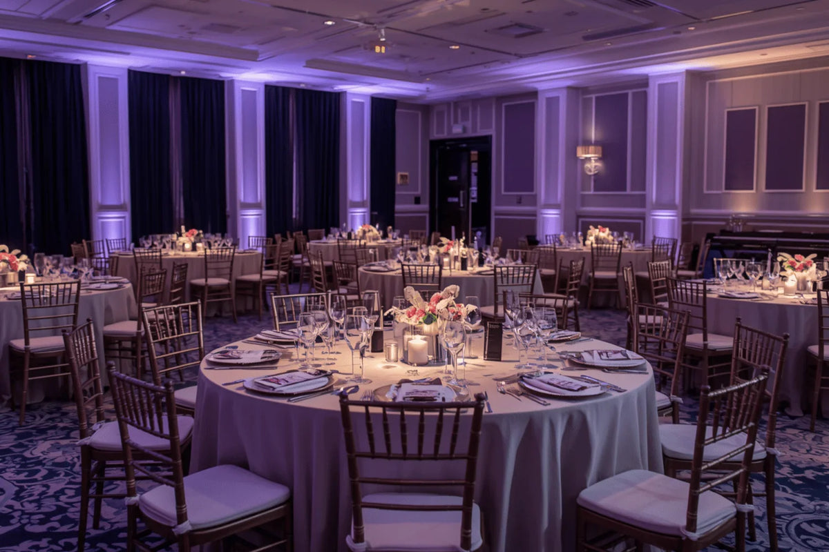Professional Party Setup