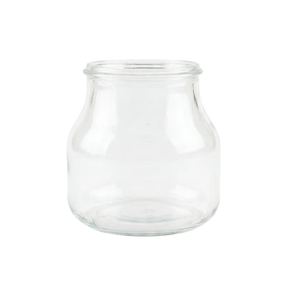 Mini Clear Vases