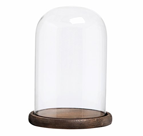 Bell Jars: Glass domes on wooden bases, ideal for displaying items or creating stylish centerpieces. Available in various sizes for versatile event decor.