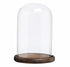 Bell Jars: Glass domes on wooden bases, ideal for displaying items or creating stylish centerpieces. Available in various sizes for versatile event decor.