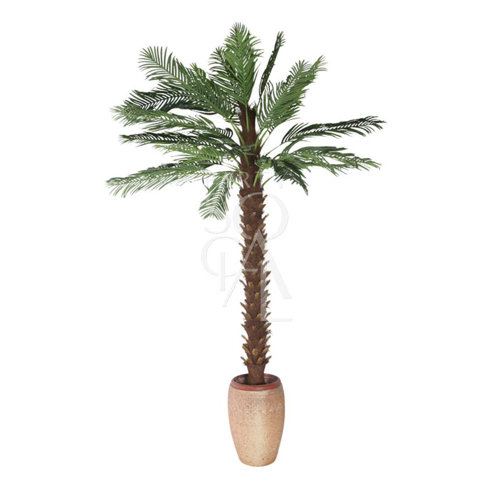 Large artificial palm tree in a pot, 4 meters tall, ideal for event decor, available from Party Social.