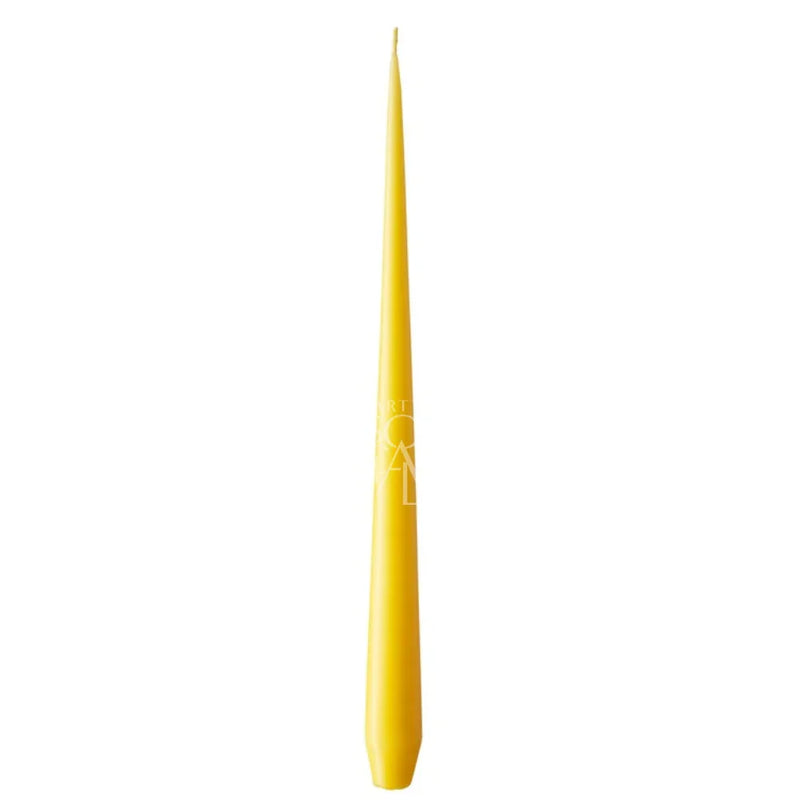 Yellow / 42 / Soy Wax