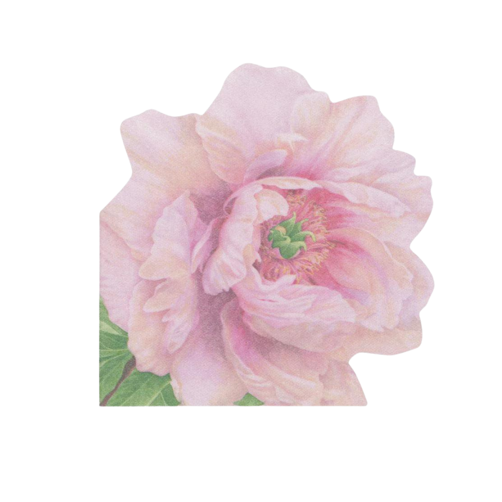 Blush Die-Cut Paper Linen Party Napkins - 12 Per Package, featuring close-up floral design with pink roses, durable triple-ply tissue, eco-friendly and biodegradable.