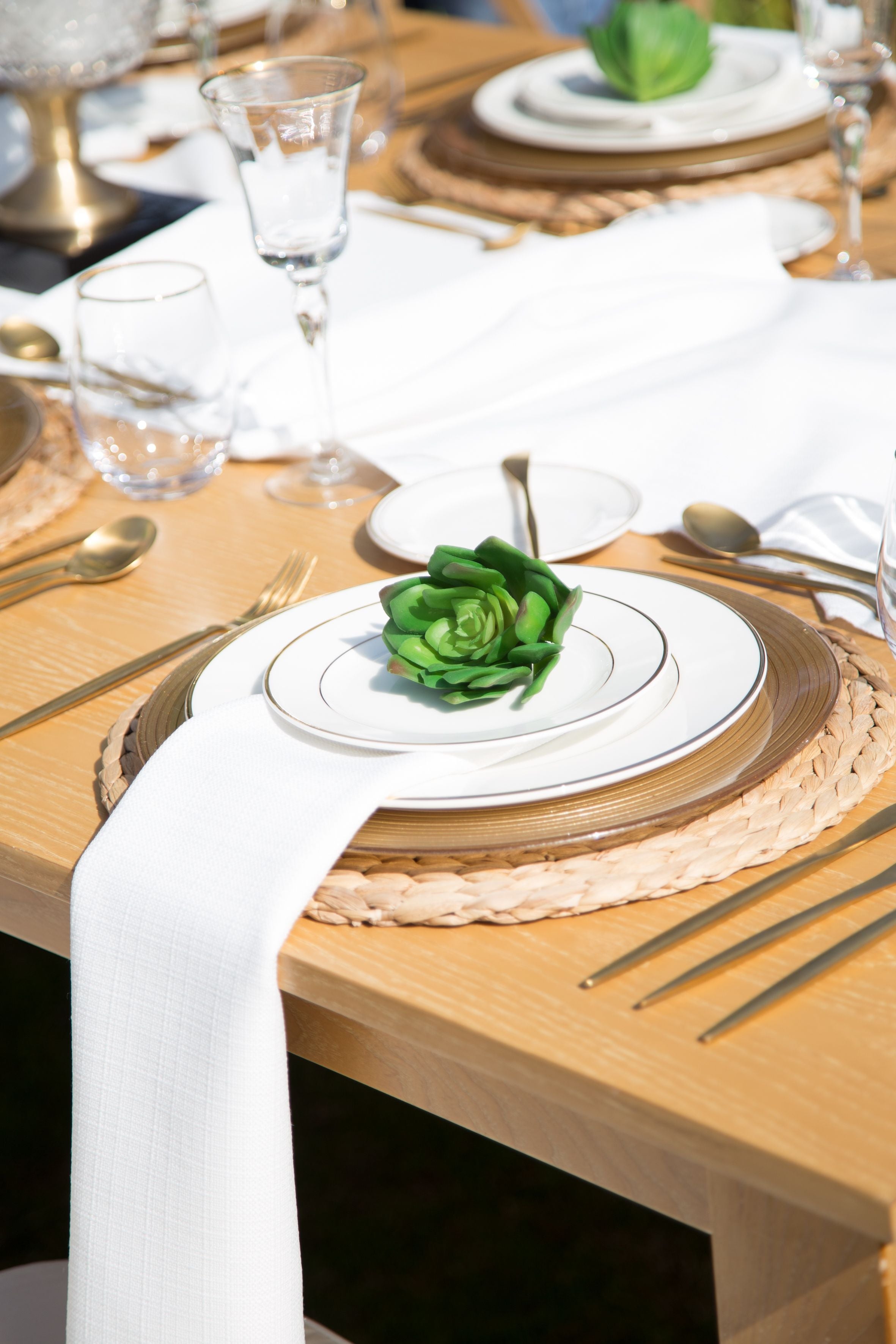 CANE PLACEMAT on a table set with plates, silverware, and a succulent, highlighting its simple design and suitability for elegant party settings.